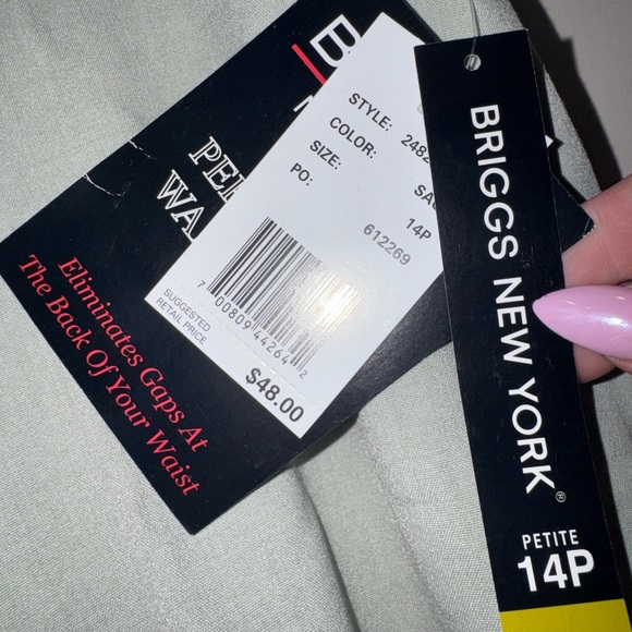 Briggs New York Petite Light Sage Pants - Picture 4 of 4